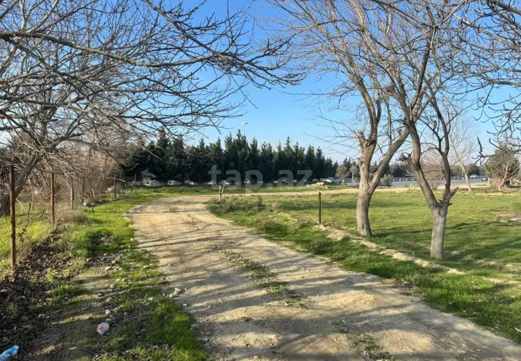 0 m² Obyekt / Ofis , Bakı