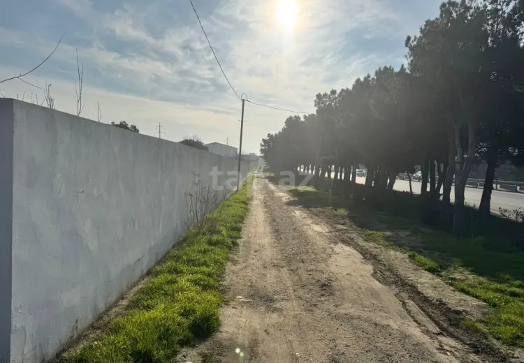 0 m² Obyekt / Ofis , Bakı