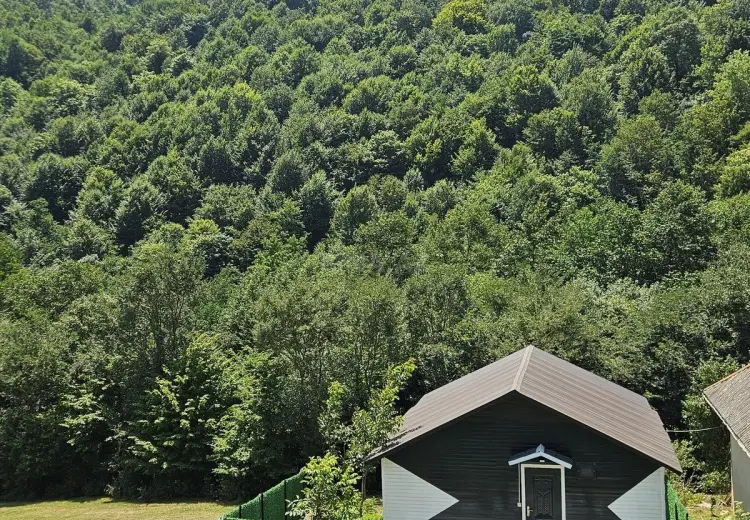3 otaqlı mənzil Kirayə (günlük), Lerik