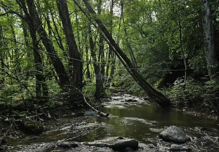 3 otaqlı mənzil Kirayə (günlük), Lerik