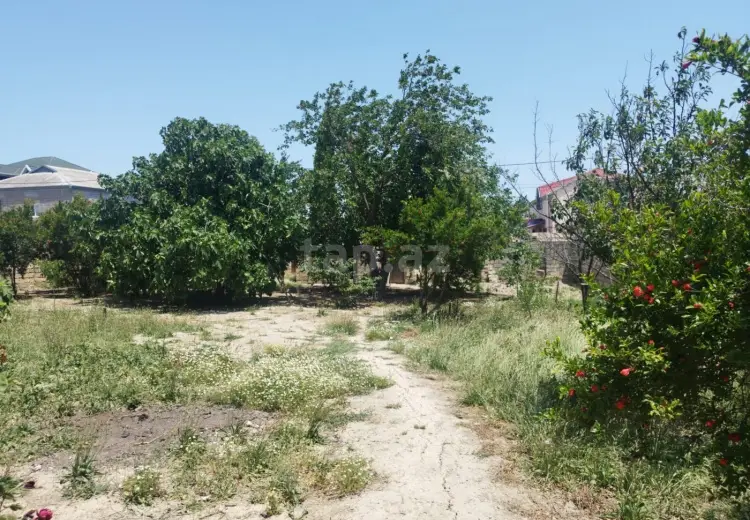0 m² Obyekt / Ofis , Masazır, Abşeron
