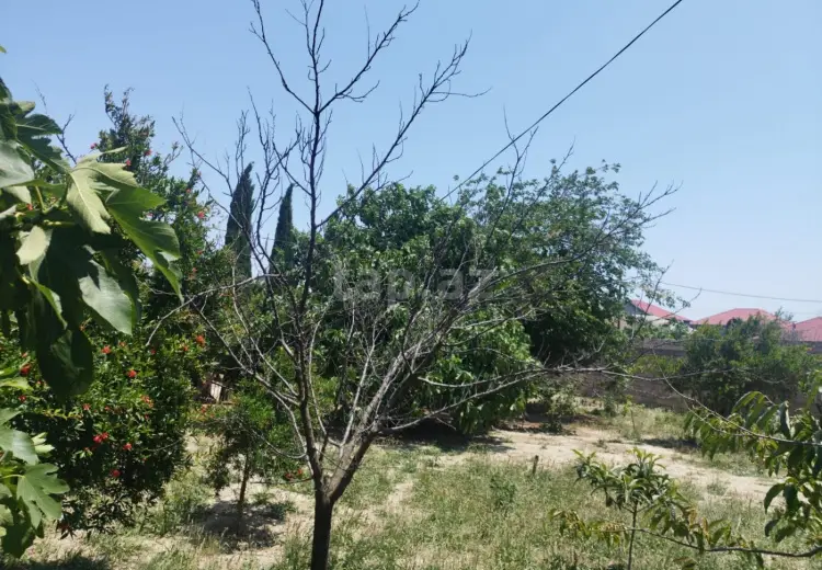 0 m² Obyekt / Ofis , Masazır, Abşeron