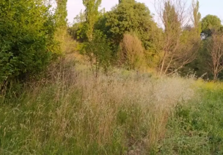 15 sot Torpaq Satılır, Şamaxı