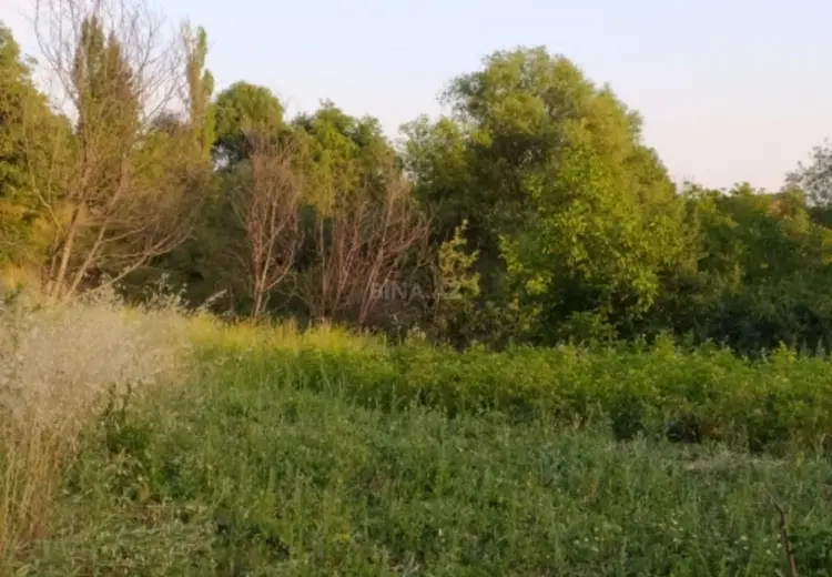 15 sot Torpaq Satılır, Şamaxı