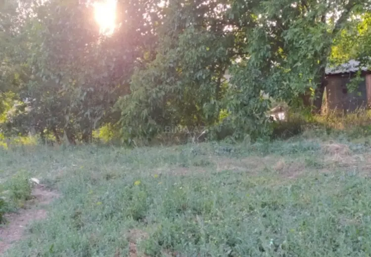 15 sot Torpaq Satılır, Şamaxı