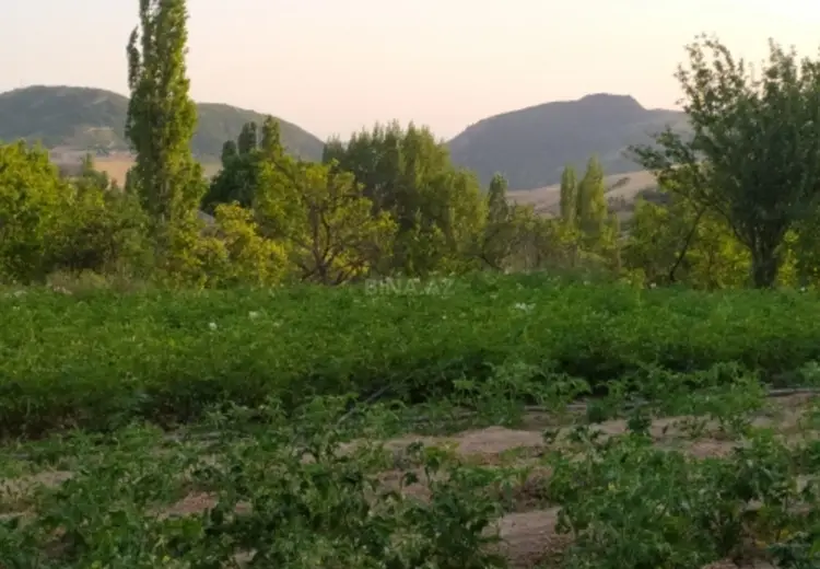 15 sot Torpaq Satılır, Şamaxı