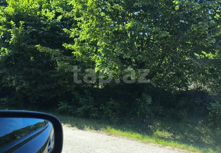 0 m² Obyekt / Ofis , Qusar
