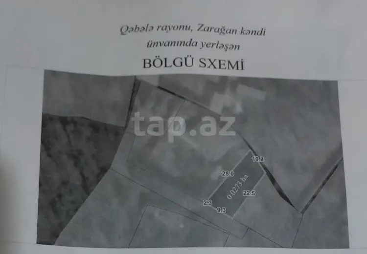 0 m² Obyekt / Ofis , Qəbələ