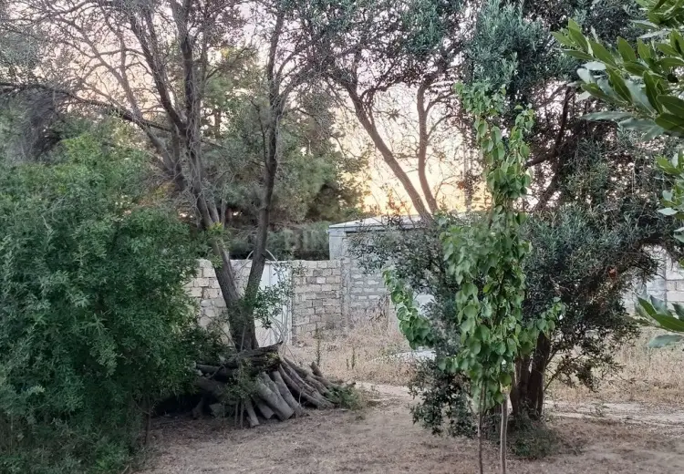 4 sot Torpaq Satılır, Mərdəkan, Xəzər, Bakı
