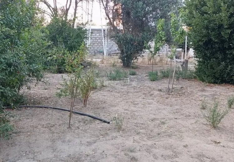 4 sot Torpaq Satılır, Mərdəkan, Xəzər, Bakı