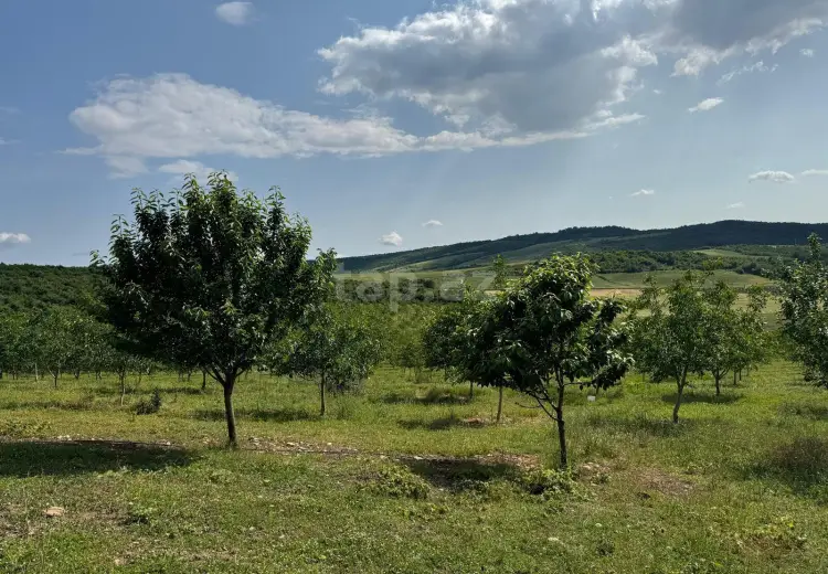 0 m² Obyekt / Ofis , İsmayıllı