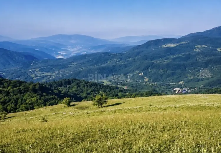 90 sot Torpaq Satılır, Şamaxı