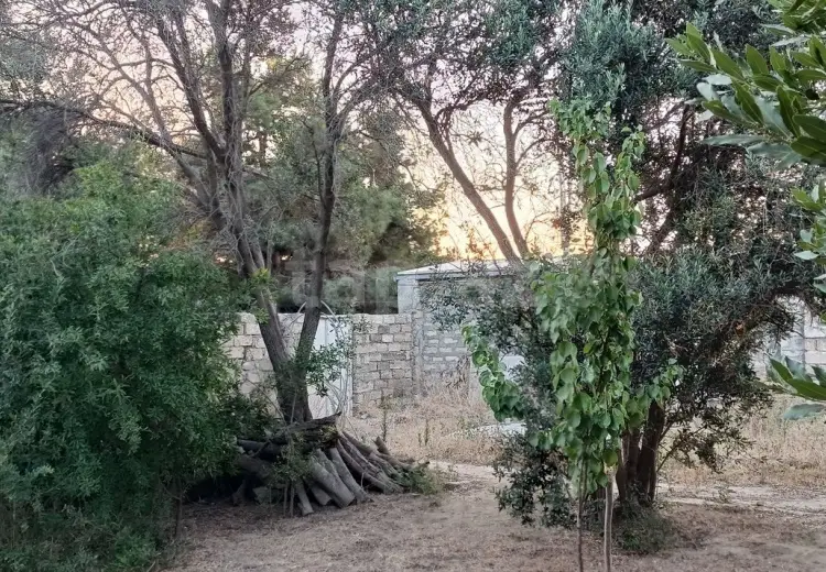 0 m² Obyekt / Ofis , Mərdəkan, Xəzər, Bakı
