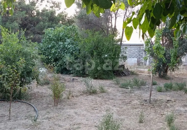 0 m² Obyekt / Ofis , Mərdəkan, Xəzər, Bakı