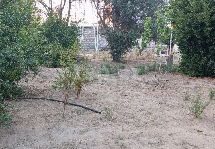0 m² Obyekt / Ofis , Mərdəkan, Xəzər, Bakı