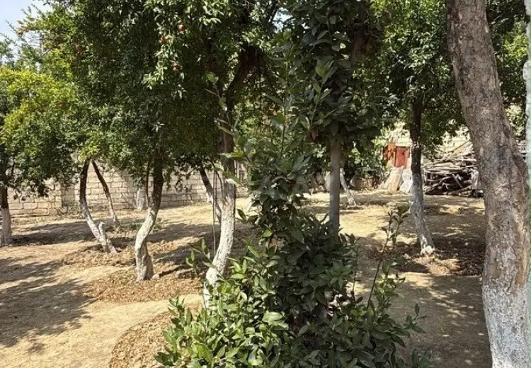 6 sot Torpaq Satılır, Badamdar qəs., Səbail, Bakı