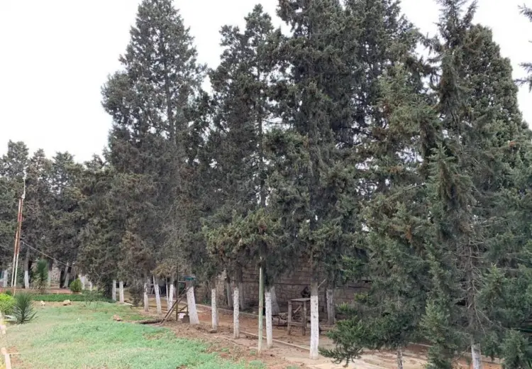 18 sot Torpaq Satılır, Mərdəkan, Xəzər, Bakı