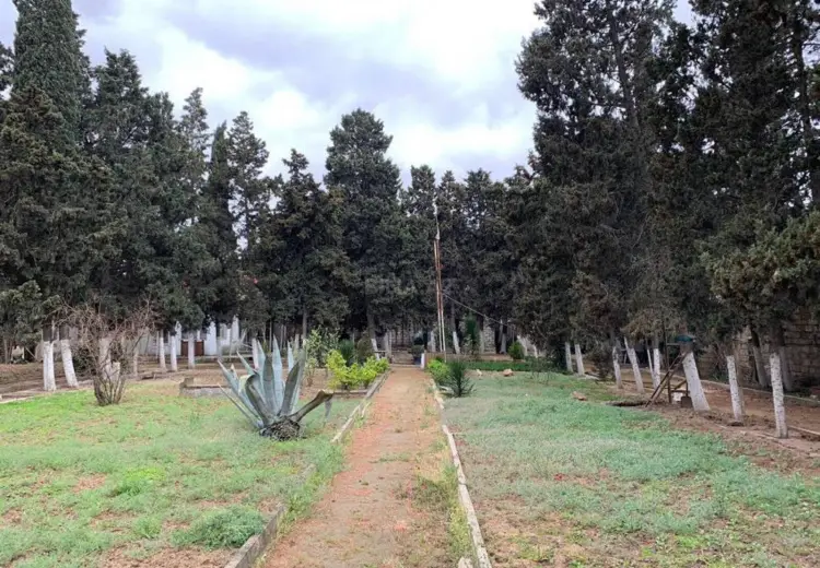 18 sot Torpaq Satılır, Mərdəkan, Xəzər, Bakı