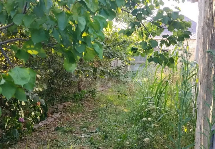 4 otaqlı mənzil , Xaçmaz