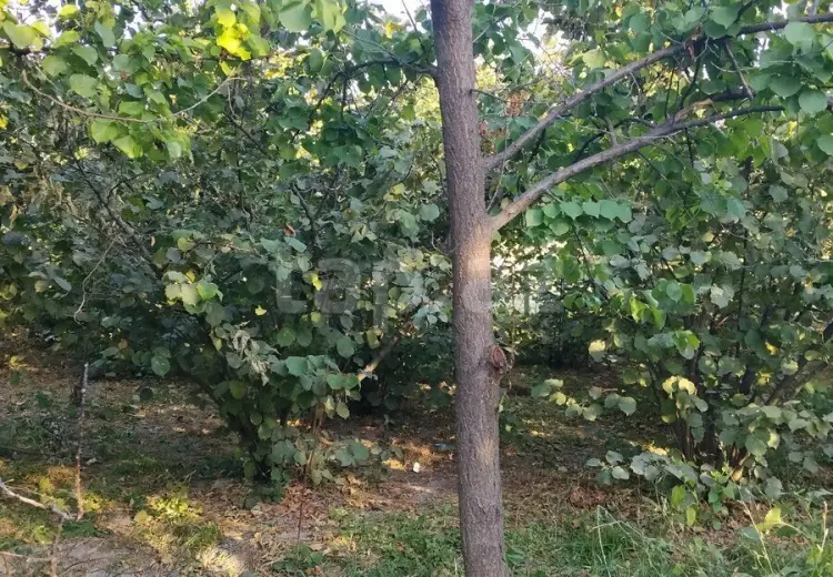 4 otaqlı mənzil , Xaçmaz