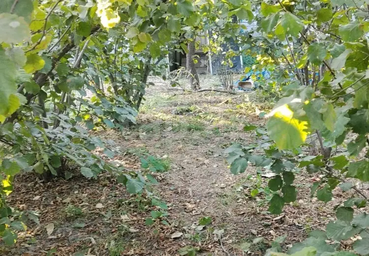 4 otaqlı mənzil , Xaçmaz