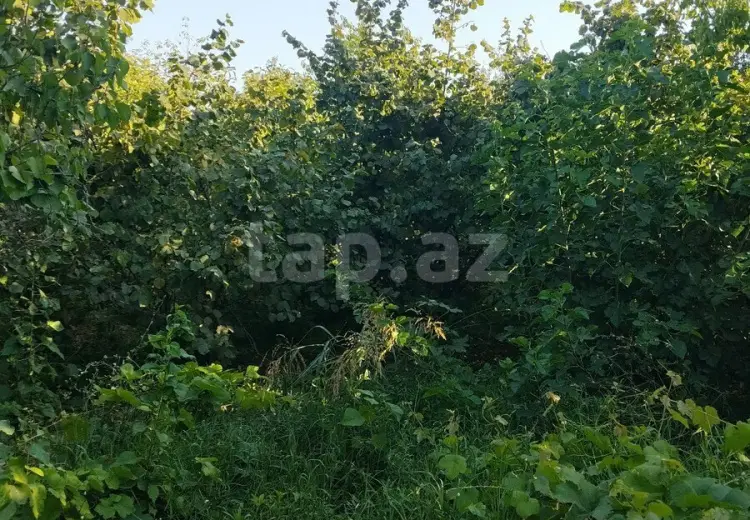 4 otaqlı mənzil , Xaçmaz
