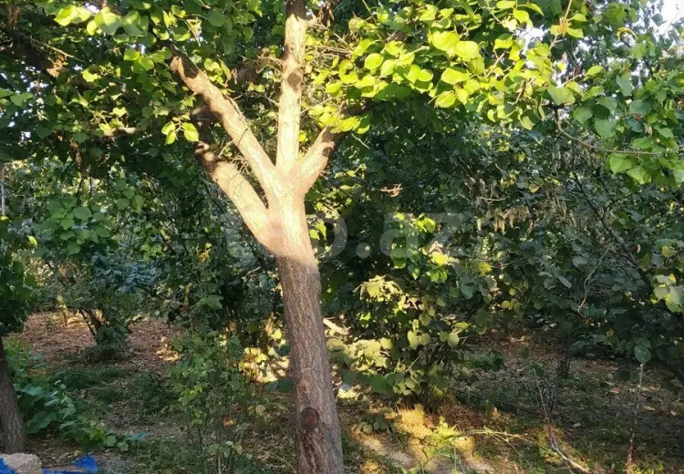 4 otaqlı mənzil , Xaçmaz