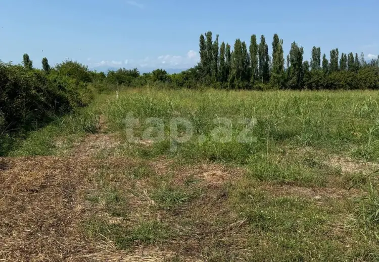0 m² Obyekt / Ofis , Qax