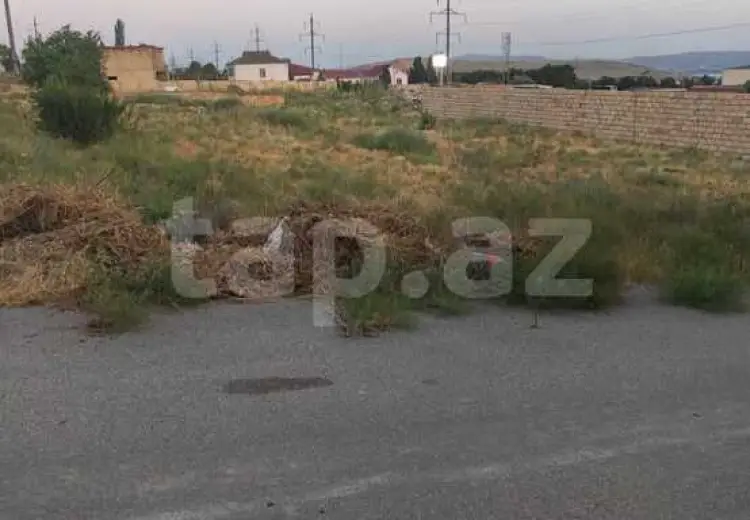 0 m² Obyekt / Ofis , Saray, Abşeron