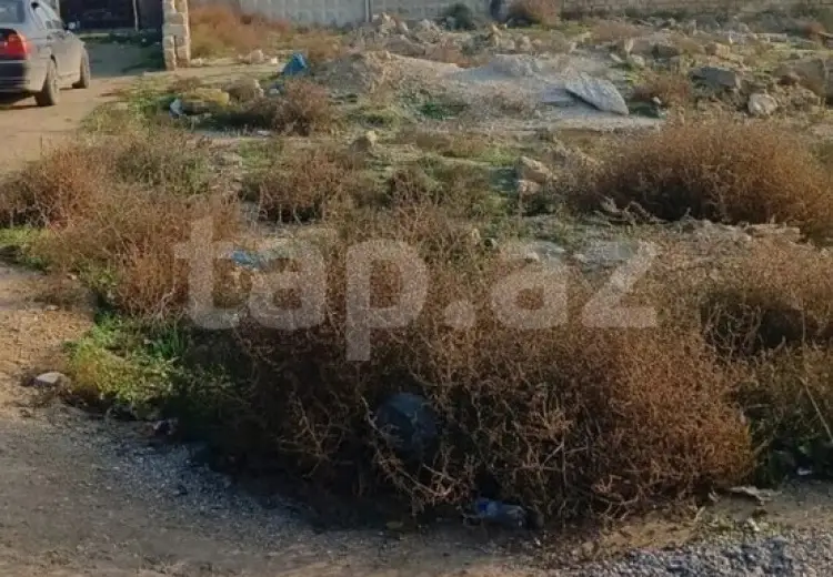 0 m² Obyekt / Ofis , Qala, Xəzər, Bakı