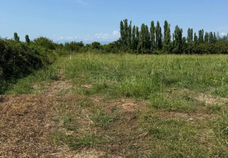 400 sot Torpaq Satılır, Qax