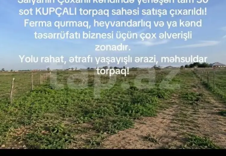 0 m² Obyekt / Ofis , Salyan