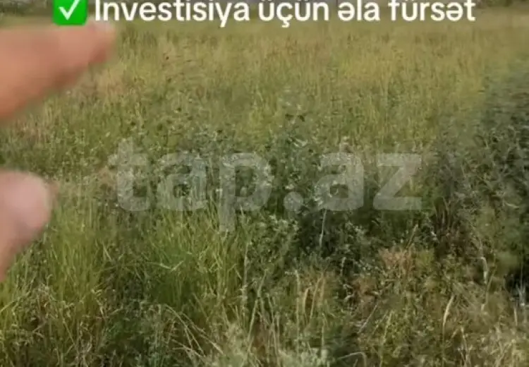 0 m² Obyekt / Ofis , Salyan