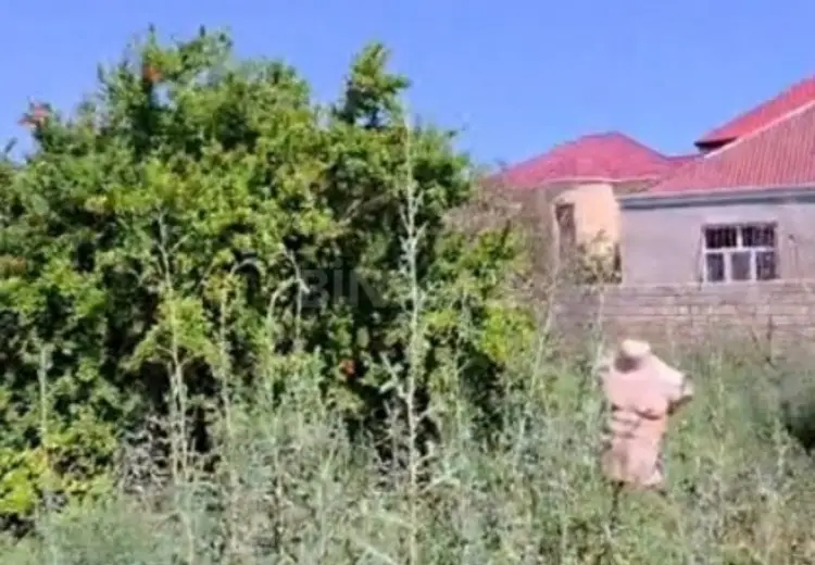 30 sot Torpaq Satılır, Masazır, Abşeron