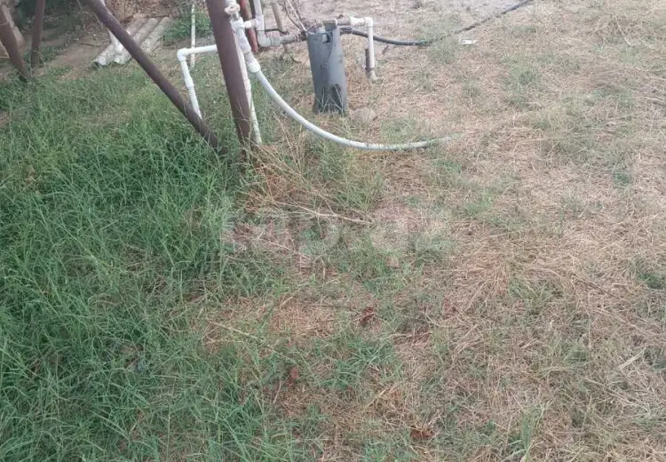 0 m² Obyekt / Ofis , Zirə, Xəzər, Bakı