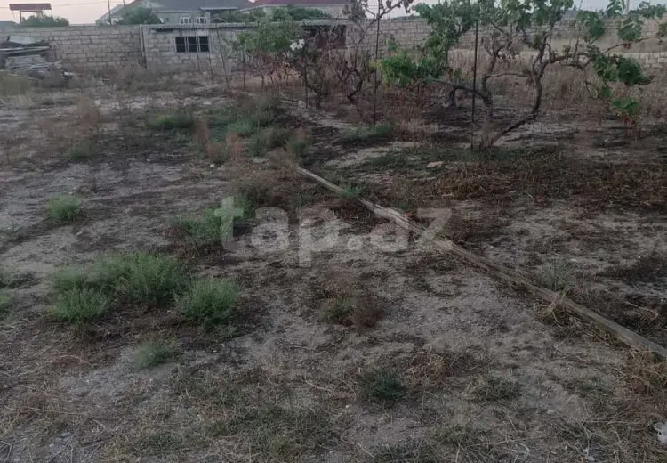 0 m² Obyekt / Ofis , Zirə, Xəzər, Bakı
