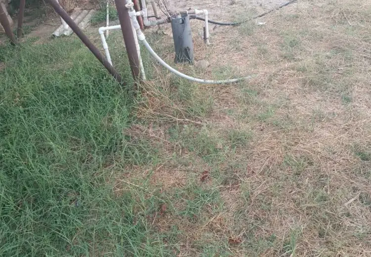 7 sot Torpaq Satılır, Zirə, Xəzər, Bakı