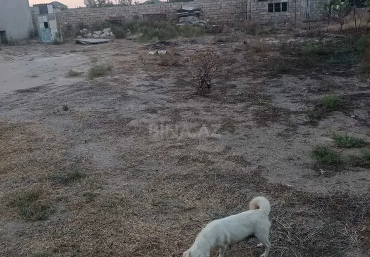 7 sot Torpaq Satılır, Zirə, Xəzər, Bakı