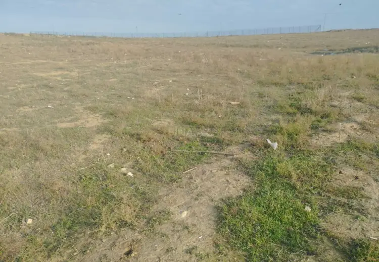 11000 sot Torpaq Satılır, Sumqayıt