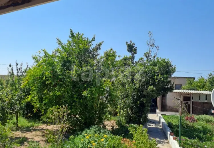 0 m² Obyekt / Ofis , Zirə, Xəzər, Bakı