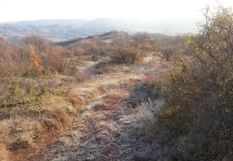 2500 sot Torpaq Satılır, Şamaxı