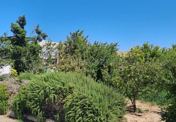 33 sot Torpaq Satılır, Zirə, Xəzər, Bakı