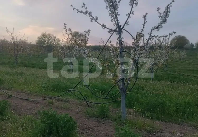 0 m² Obyekt / Ofis , Quba
