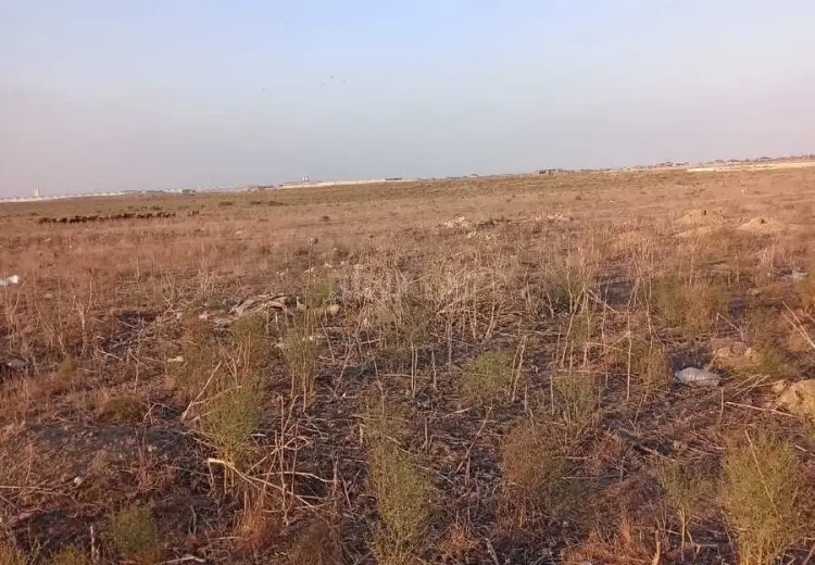 300 sot Torpaq Satılır, Xızı