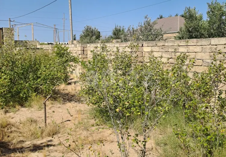 0 m² Obyekt / Ofis , Zirə, Xəzər, Bakı