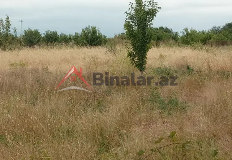 45 sot Torpaq Satılır, Quba