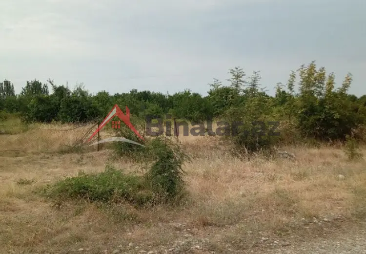 45 sot Torpaq Satılır, Quba