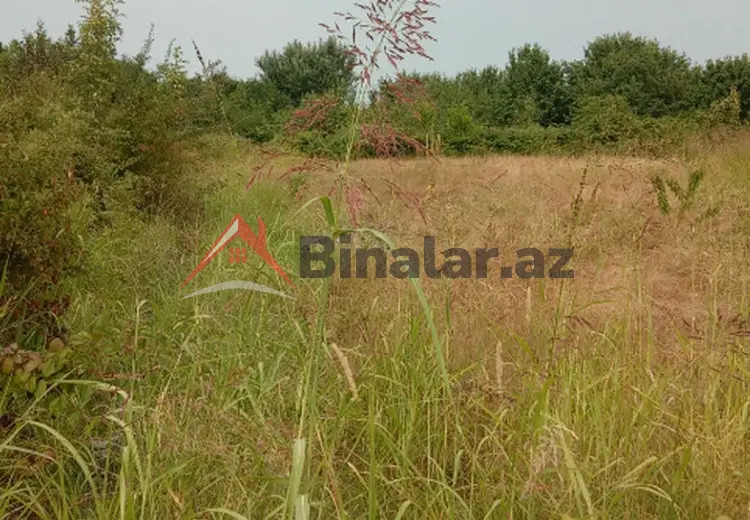 45 sot Torpaq Satılır, Quba