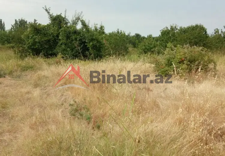 45 sot Torpaq Satılır, Quba
