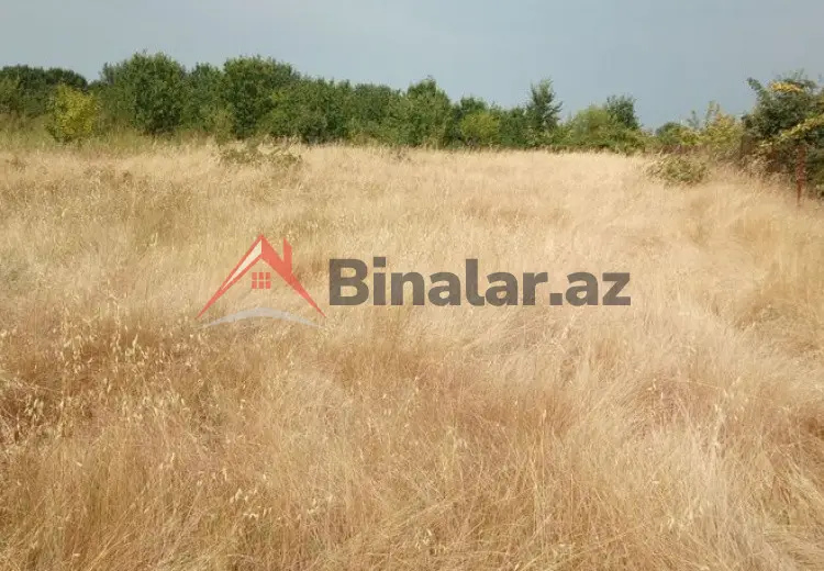 45 sot Torpaq Satılır, Quba